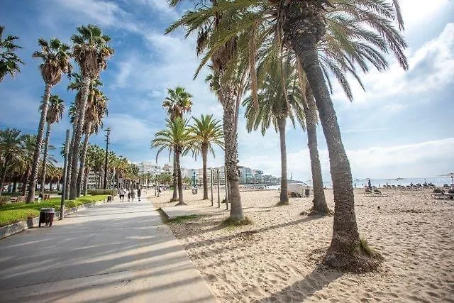 サロウApartbeach Sol Y Playa 245 Climatizado Vistas Piscinaアパートメント 0*, サロウ スペイン